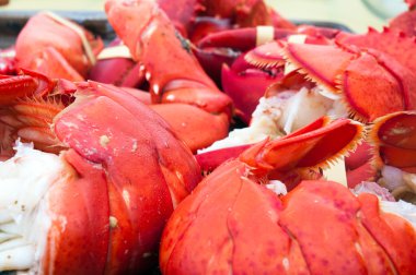 ıstakoz kuyrukları ve pençeleri