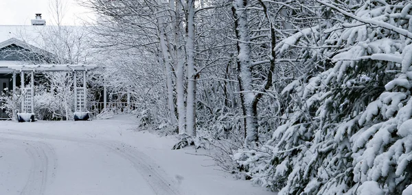 Casa coperta di neve — Foto Stock