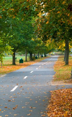 Sonbaharda yolu yürüyüş