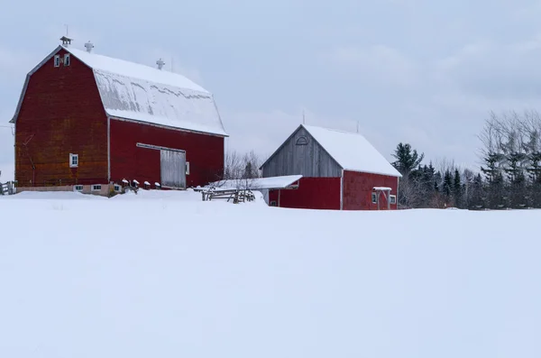 Red schuur in de winter — Stockfoto