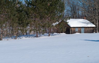 Çam ağaçlarıyla kabin