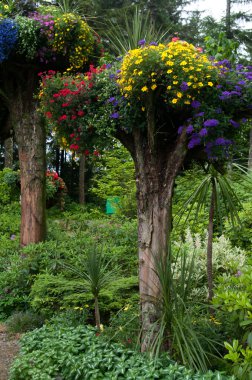 Glacier Gardens Tall