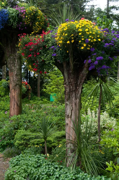 Glacier Gardens Tall — ストック写真