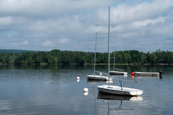 Zeilboten in de rivier — Stockfoto