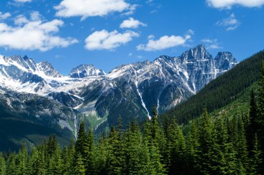 Rogers Pass görünümünden mt