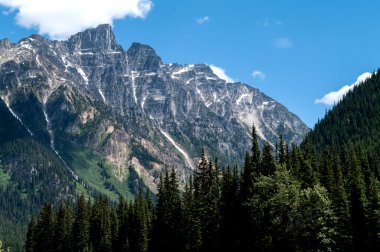 Vancouver Waterfront yuvasından