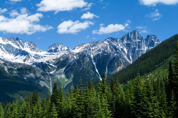 MT vy från Rogers Pass — Stockfoto