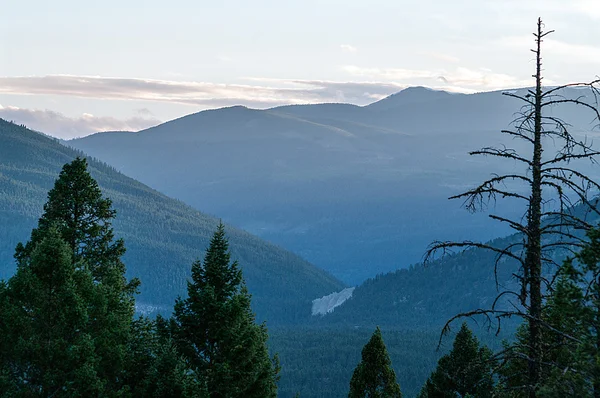 Mountian Долина Rockie — стокове фото