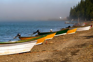 Dories karanlık liman