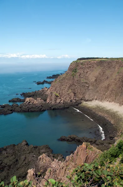 Peixe derramado em Grand Manan — Fotografia de Stock