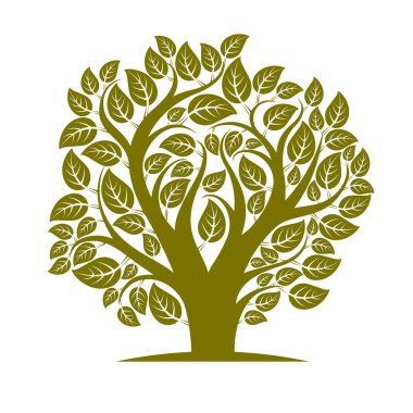 ağaç yaprakları ve dalları ile