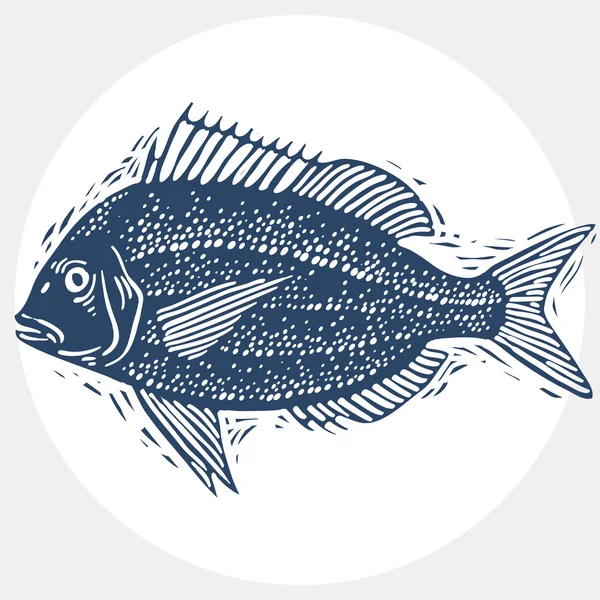 Silueta de peces de agua dulce — Vector de stock