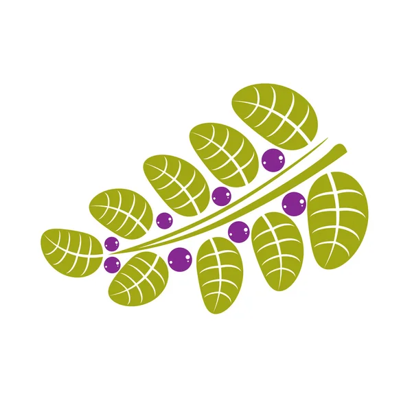 Árbol dejar con semillas púrpuras — Archivo Imágenes Vectoriales