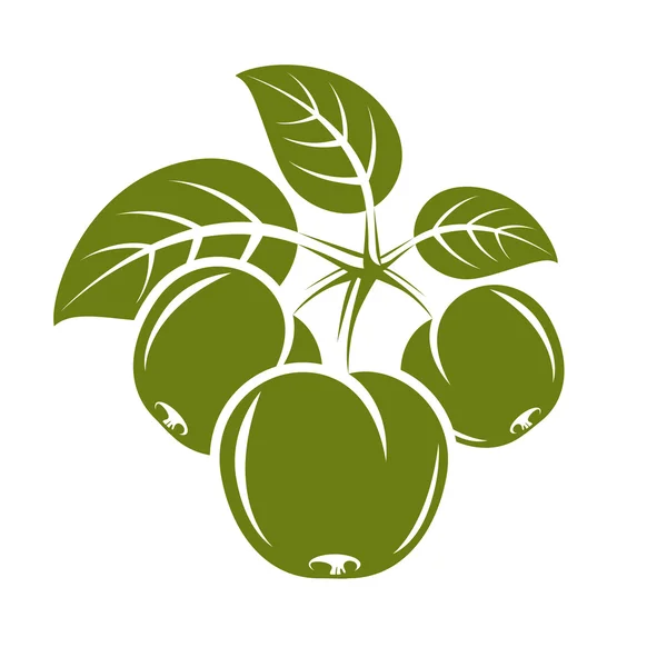 Яблоки с листьями, спелые сладкие фрукты — стоковый вектор