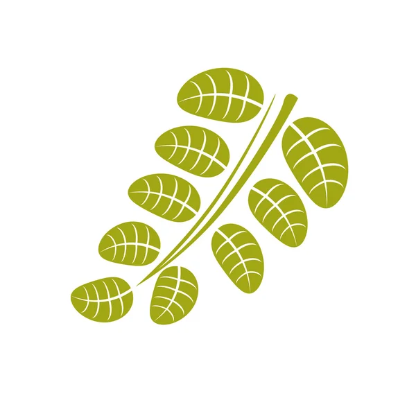 Platte groene bladeren — Stockvector