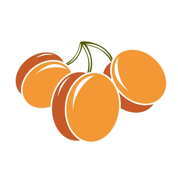 熟した甘いオレンジ アプリコット — ストックベクタ