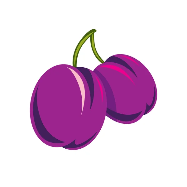 Ciruelas dulces maduras púrpuras — Vector de stock