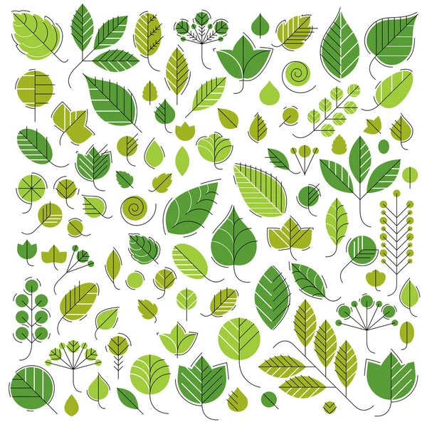 Spring tree leaves collection — Stock Vector