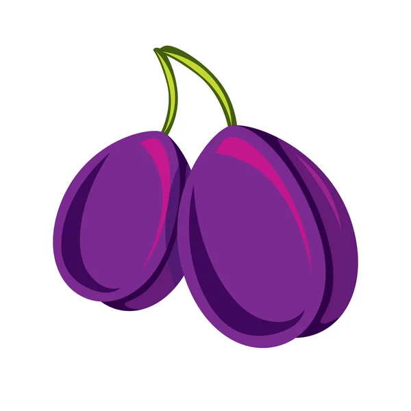 Ciruelas dulces maduras púrpuras — Vector de stock