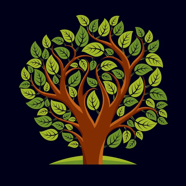 Árbol con hojas y ramas decorativas — Vector de stock