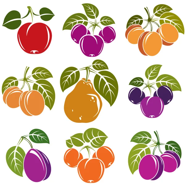 Conjunto de frutas maduras y bayas con hojas verdes — Vector de stock