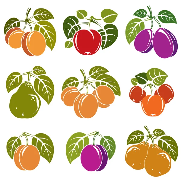 Ensemble de fruits mûrs et de baies aux feuilles vertes — Image vectorielle