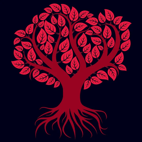 Güçlü kökleri ile dallı ağaç. 