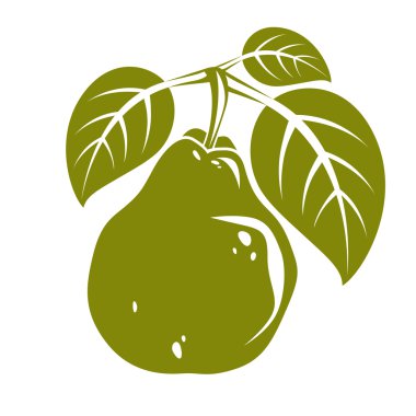 yeşil yaprakları ile armut