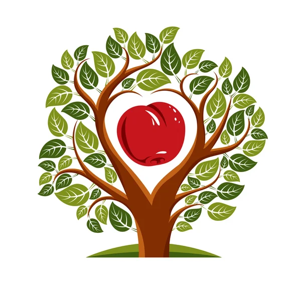 Ilustración de árbol con ramas una manzana dentro — Vector de stock