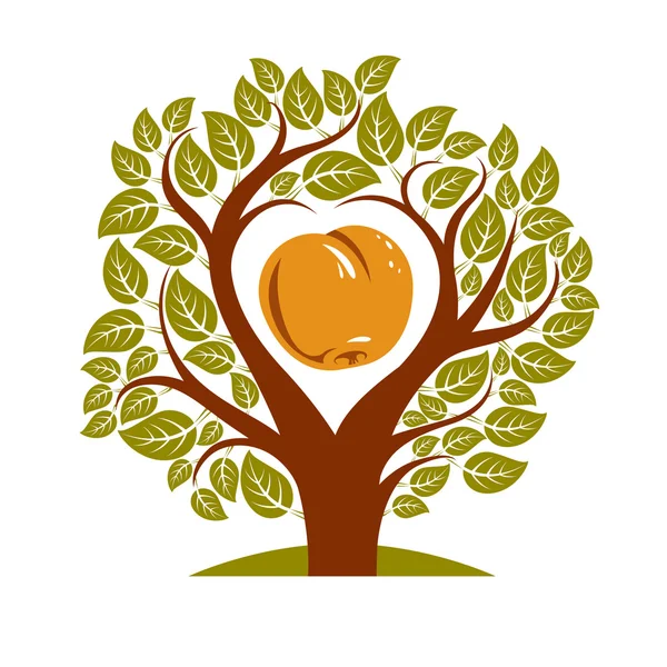 Ilustración de árbol con ramas una manzana dentro — Vector de stock