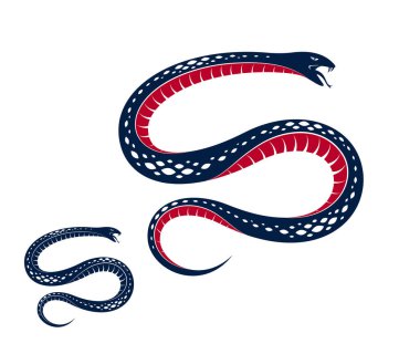 Zehirli yılan dövmesi, vektör logosu veya saldırgan yırtıcı sürüngenin amblemi, ölümcül zehirli yılan sembolü, klasik çizim..