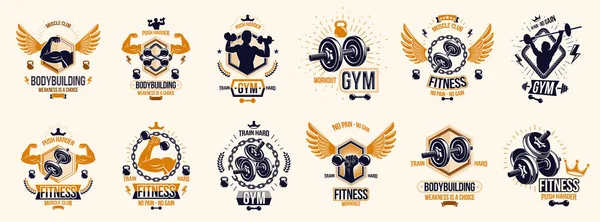 Эмблемы Фитнес Спорта Логотипы Плакаты Гантелями Гири Гири Силуэты Человека — стоковый вектор