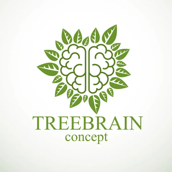 Koncepcja Mózgu Drzewa Mądrość Natury Inteligentna Ewolucja Ludzki Mózg Anatomiczny — Wektor stockowy
