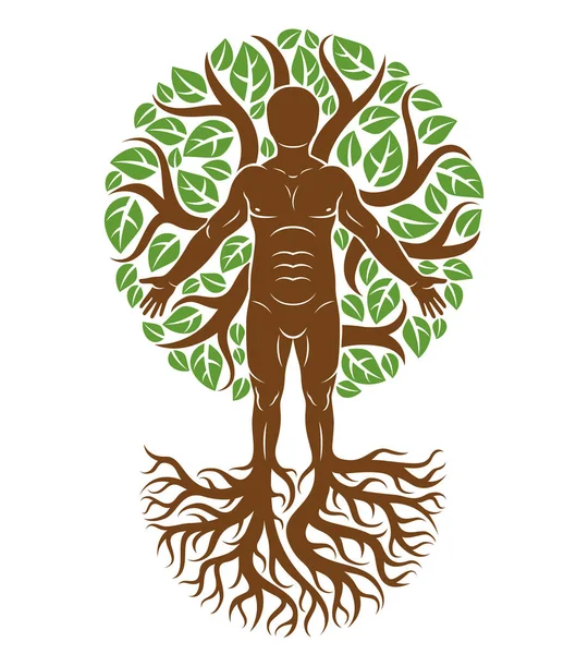 向量图上显示强壮的雄性 身体轮廓站在白色背景上 用树根和绿叶制成 生命之树 家庭根源 — 图库矢量图片