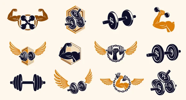 Fitness Esporte Emblemas Logotipos Cartazes Com Halteres Halteres Kettlebells Silhuetas —  Vetores de Stock