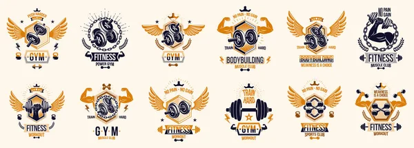 Fitness Sport Emblémák Logók Vagy Plakátok Súlyzók Vízforraló Harangok Izom — Stock Vector