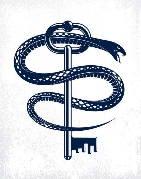 Serpente Avvolge Intorno Chiave Vintage Concetto Segreto Protetto Tatuaggio Chiavi — Vettoriale Stock