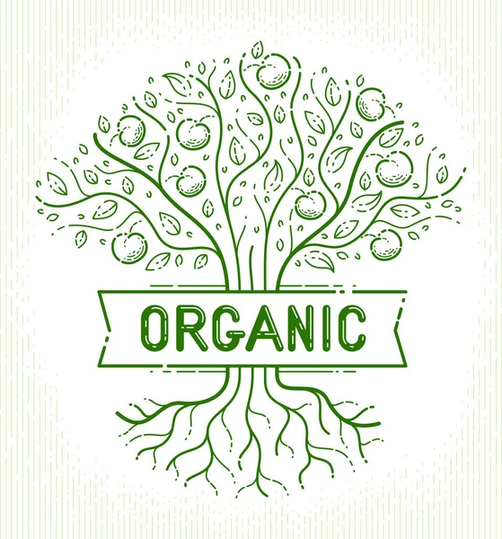 Bela Árvore Frutas Maçã Natural Orgânico Fazenda Alimento Vetor Logotipo — Vetor de Stock