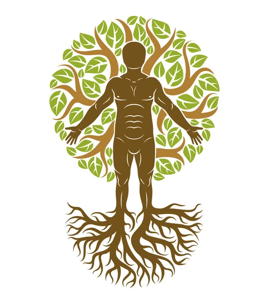 用自然的绿树冠以树叶制成的人的矢量图解 作为树根坚实的延续 绿人异教徒神的隐喻 — 图库矢量图片