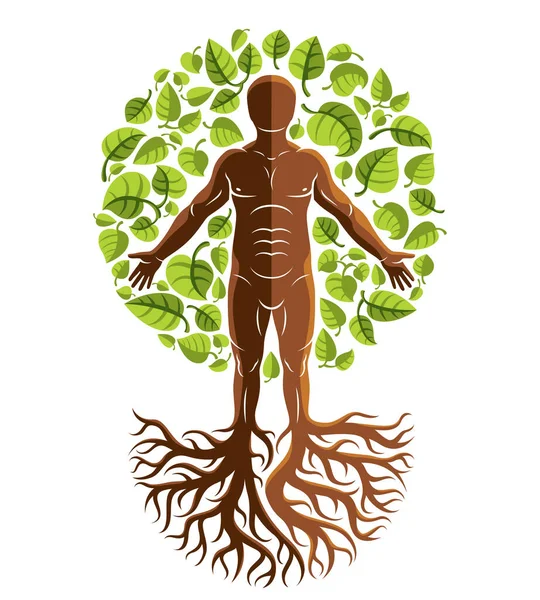 Векторный Атлетический Человек Создан Продолжение Дерева Сильными Корнями Органическими Зелеными — стоковый вектор