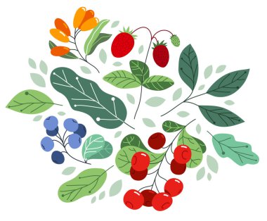 Yaban mersinleri taze ve olgun sağlıklı yiyecekler beyaz, lezzetli bitki diyeti, doğa hediyeleri üzerine izole edilmiş vektör düz çizim ile sağlıklı besinler.