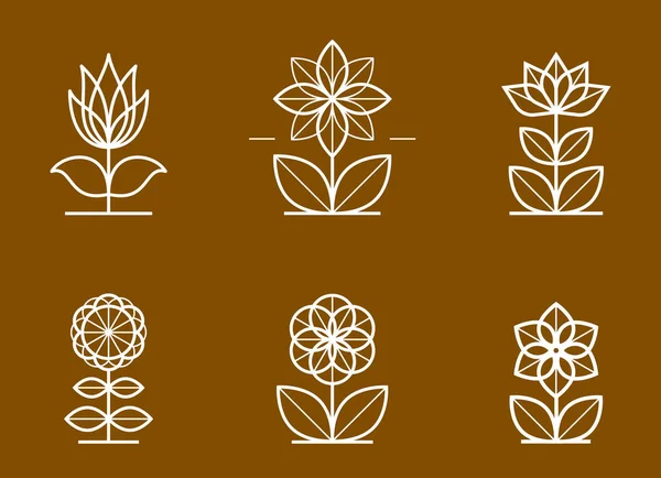 Beautiful Geometric Flower Logos Vector Linear Designs Set Sacred Geometry — Stock Vector