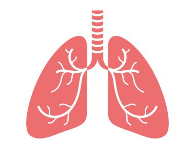 Akciğer vektörü olan stetoskop, beyaz arkaplan, pulmanoloji temalı illüstrasyon veya logo üzerinde izole edilmiş basit bir simge.