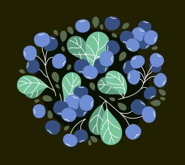 Taze taze, olgun yabanmersini vektör düz çizim koyu arka planda, doğal diyet gıda bitkisi lezzetli yeme, orman yabanmersini serisi.