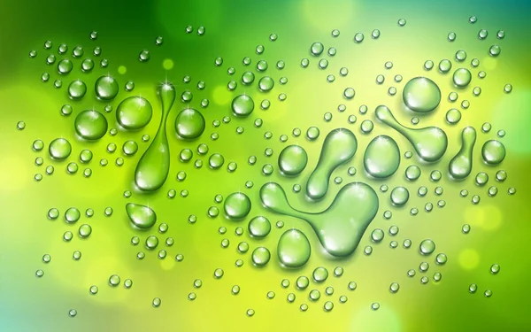 Νερό Σταγόνες Βροχή Συμπύκνωση Πάνω Από Θολή Πράσινο Φόντο Φύση — Διανυσματικό Αρχείο