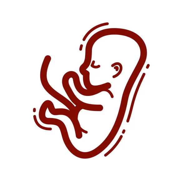 Menselijke Foetus Embryo Baarmoeder Ongeboren Kind Vector Lineair Pictogram Geïsoleerd — Stockvector