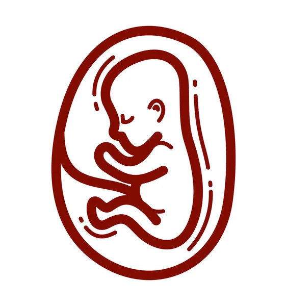 Human Fetus Embryo Womb Unborn Child Vector Linear Icon Isolated — Stock Vector
