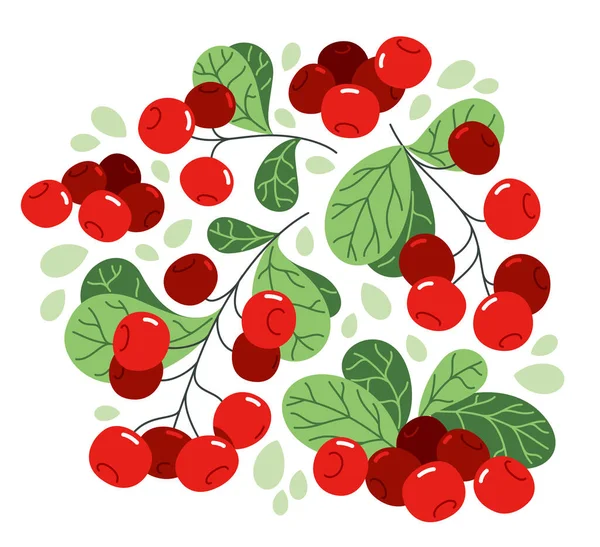 Čerstvé Chutné Zralé Divoké Lingonberry Vektor Ploché Ilustrace Izolované Bílém — Stockový vektor