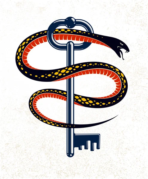 Snake Обволакивает Винтажным Ключом Защищенной Секретной Концепцией Татуировкой Ключ Змеей — стоковый вектор