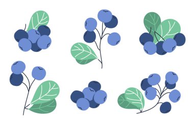 Taze lezzetli, olgun yaban mersini vektör düz çizim beyaz, doğal diyet gıda bitkisi lezzetli yeme, orman yabanmersini serisi.